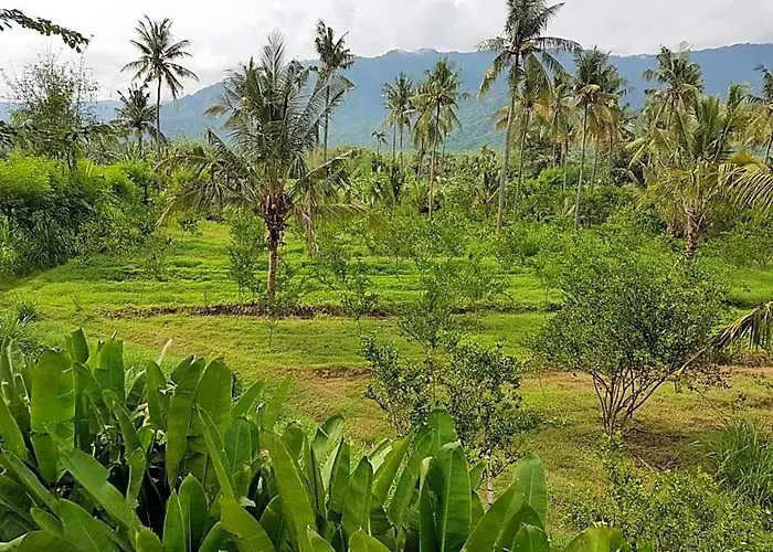 Buana Ecofarm *